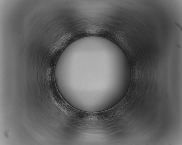 X0000101200738200807111009