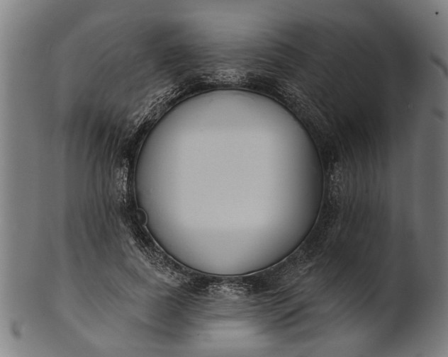 X0000101200739200807111009