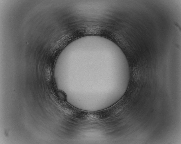 X0000101200741200807111009