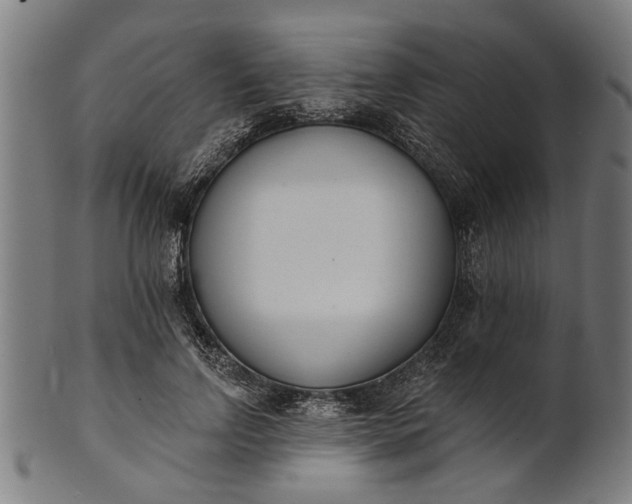 X0000101200742200807111009