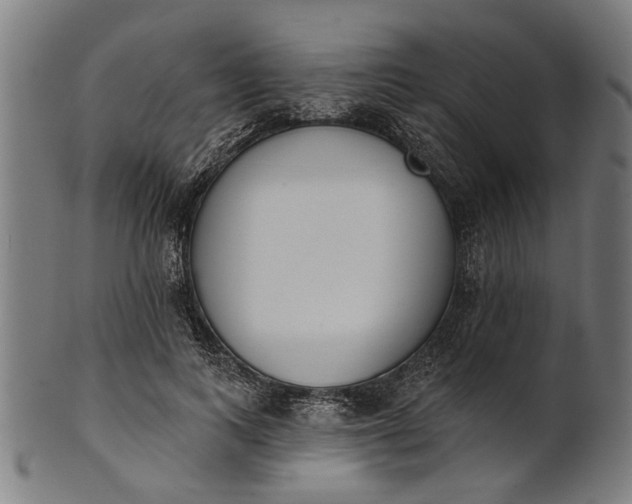 X0000101200743200807111009