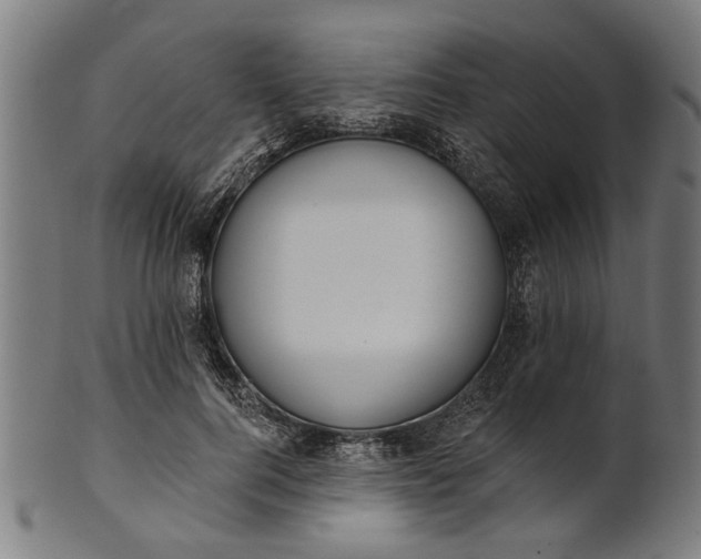X0000101200744200807111009