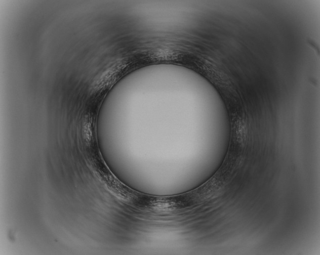 X0000101200746200807111009