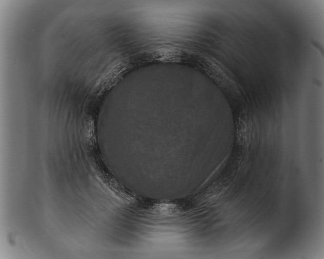 X0000101200748200807111009