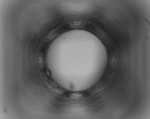 X0000101200749200807111009