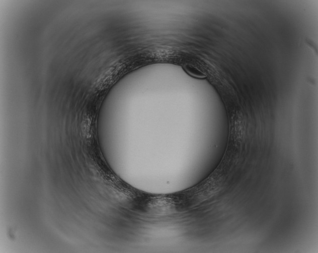 X0000101200750200807111009