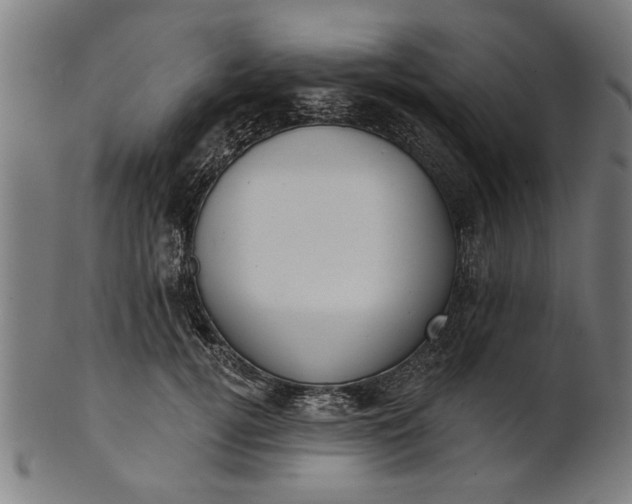 X0000101200752200807111009