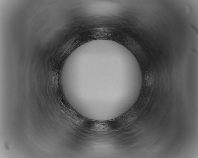 X0000101200753200807111009