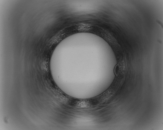 X0000101200755200807111009