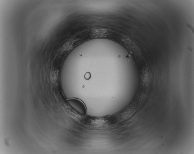 X0000101200759200807111009
