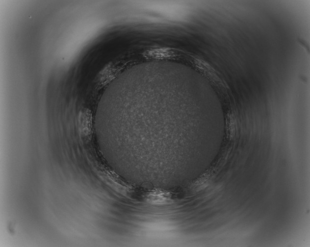 X0000101200760200807111009