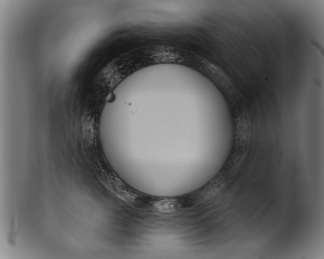 X0000101200761200807111009