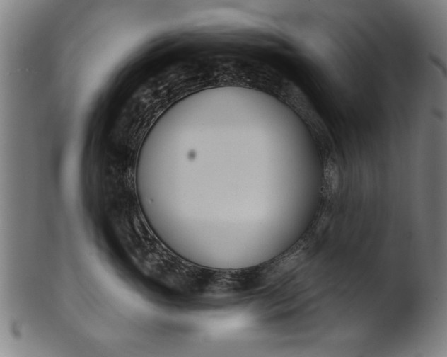 X0000101200765200807111009