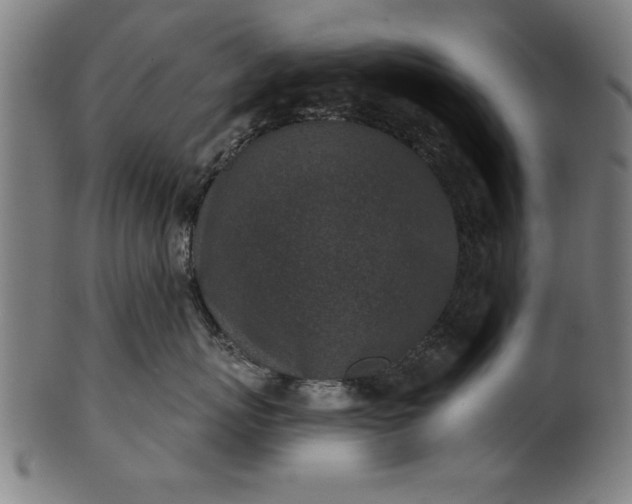 X0000101200767200807111009