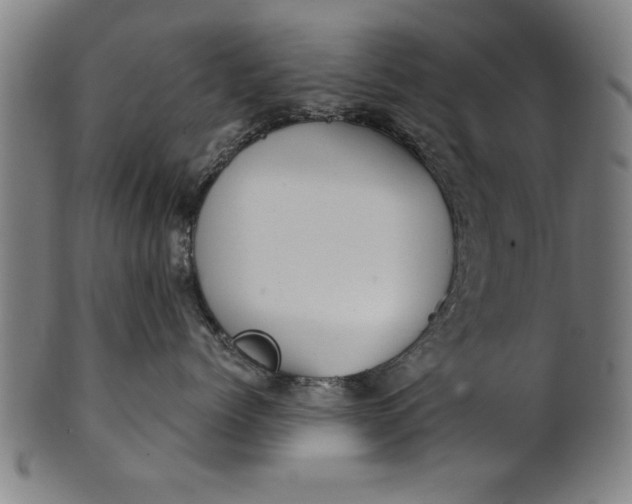 X0000101200768200807111009