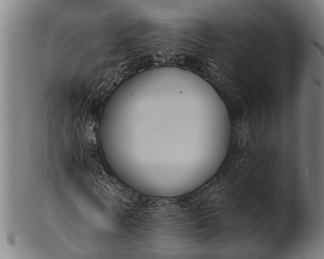 X0000101200770200807111009