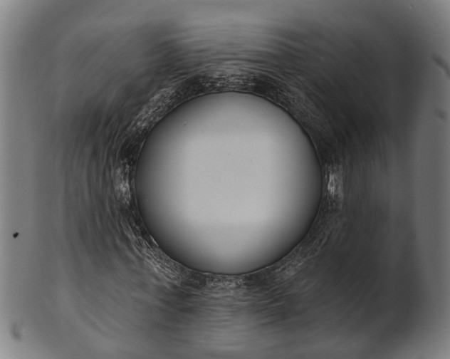 X0000101200771200807111009