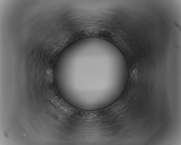X0000101200772200807111009