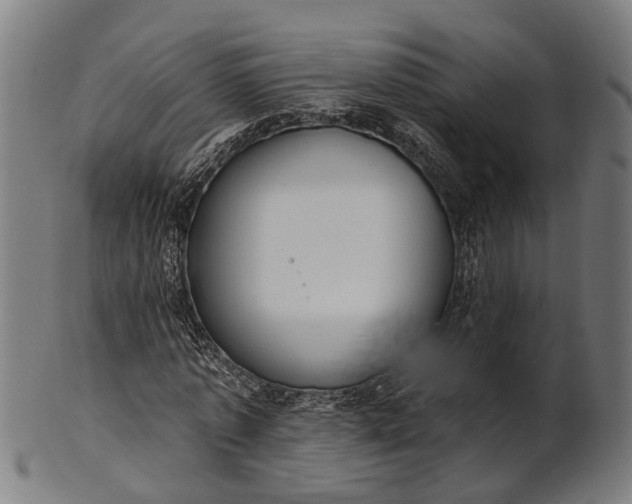 X0000101200773200807111009
