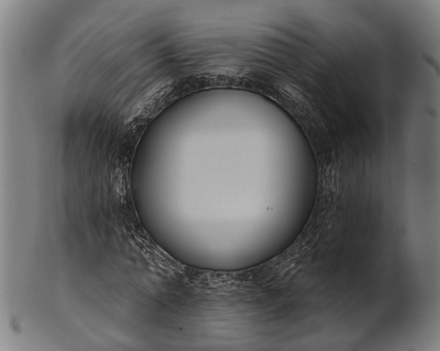 X0000101200774200807111009