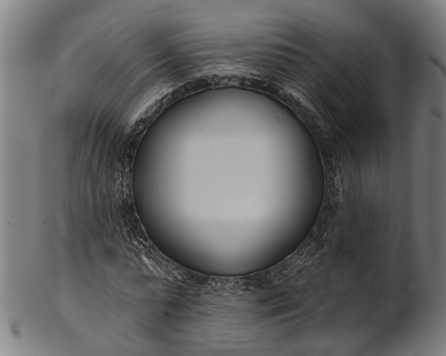 X0000101200775200807111009