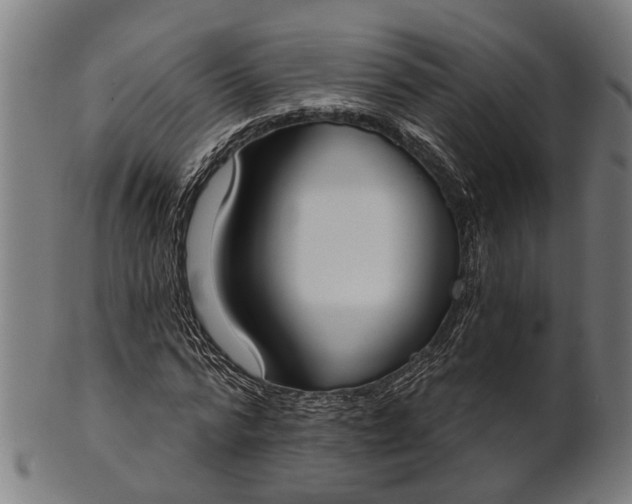 X0000101200776200807111009