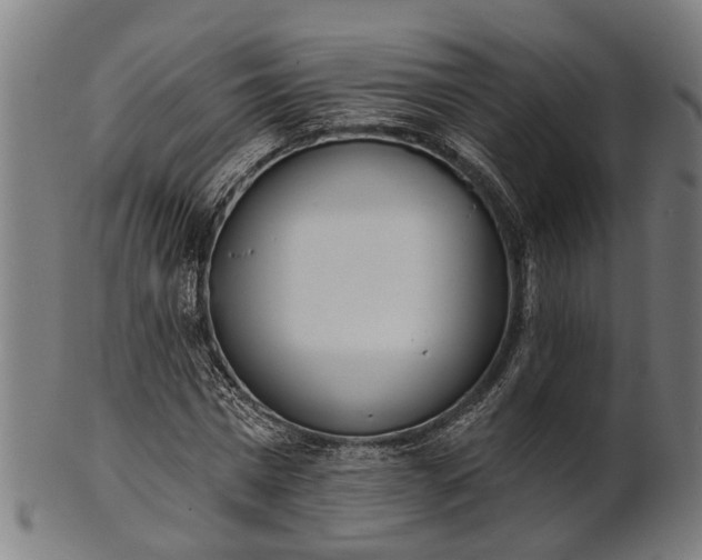 X0000101200777200807111008