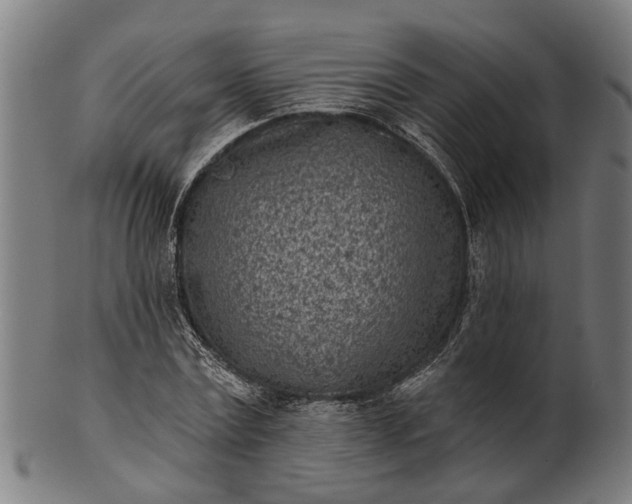 X0000101200779200807111008