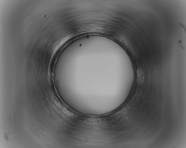 X0000101200780200807111008