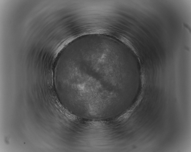 X0000101200781200807111008