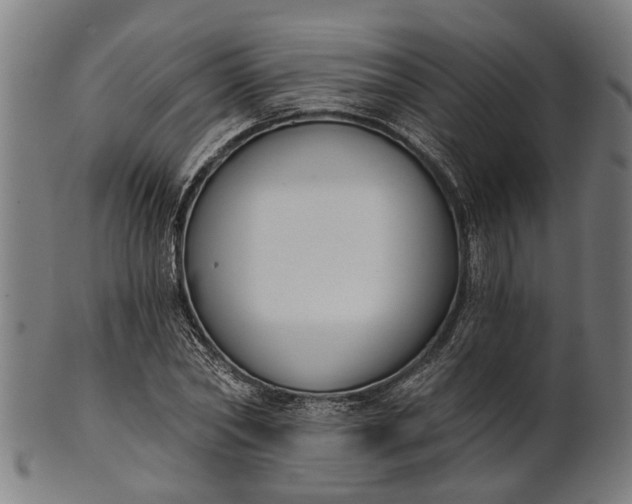 X0000101200782200807111008