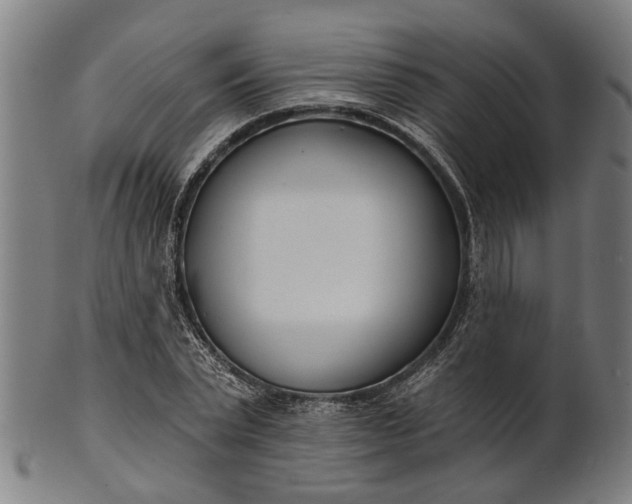 X0000101200783200807111008