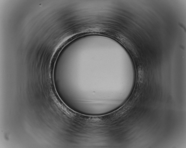 X0000101200784200807111008