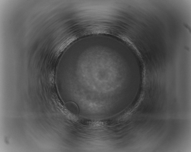 X0000101200785200807111008