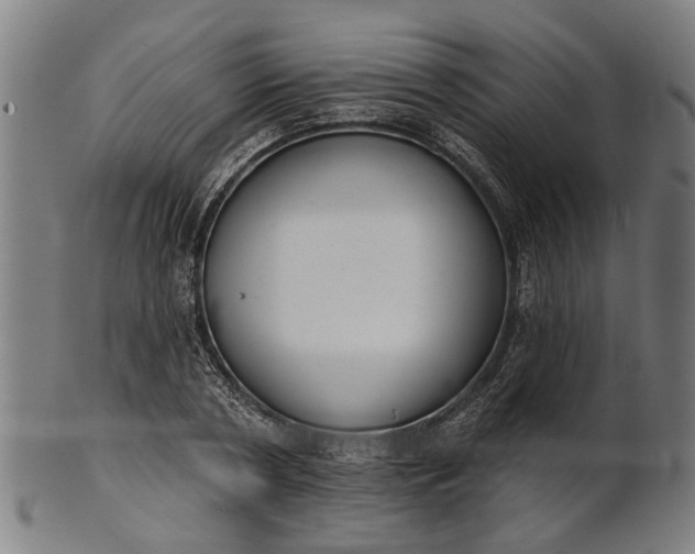 X0000101200786200807111008