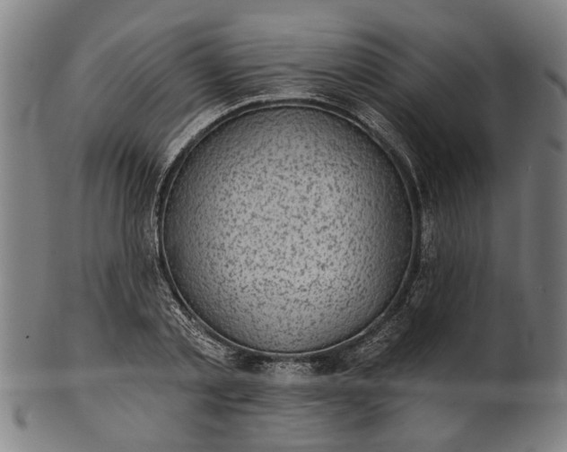 X0000101200789200807111008