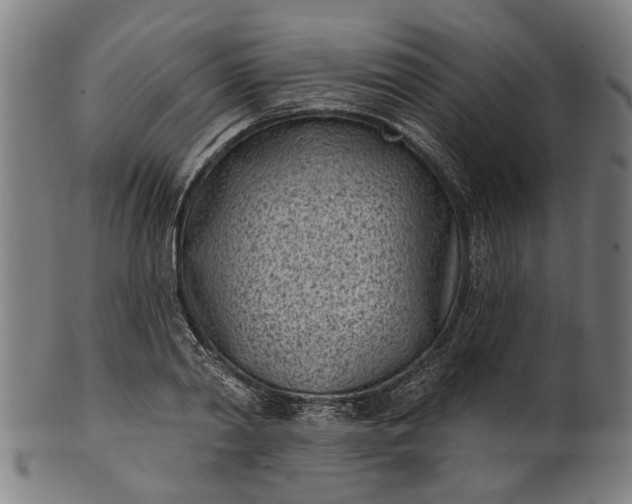 X0000101200790200807111008