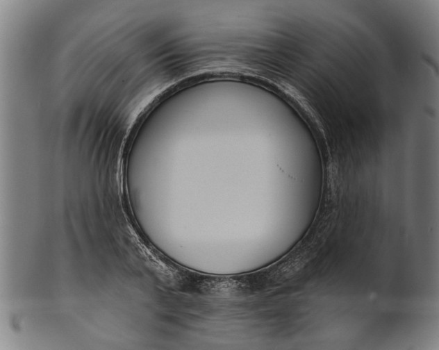 X0000101200791200807111008