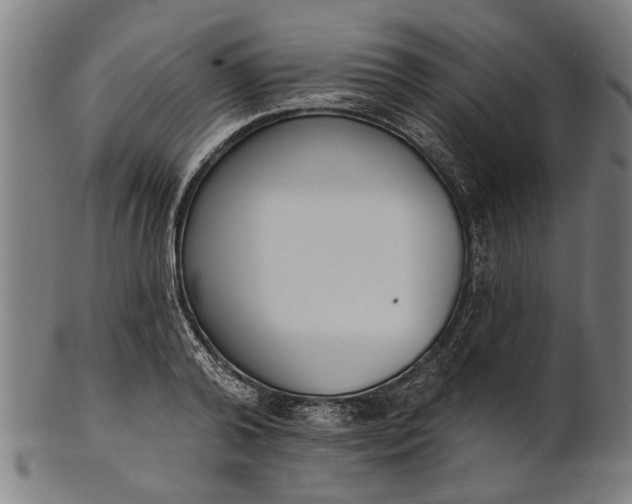 X0000101200792200807111008
