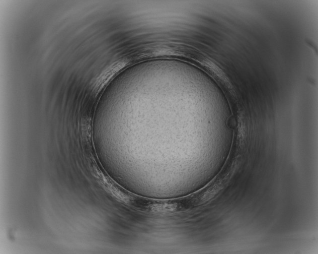 X0000101200793200807111008