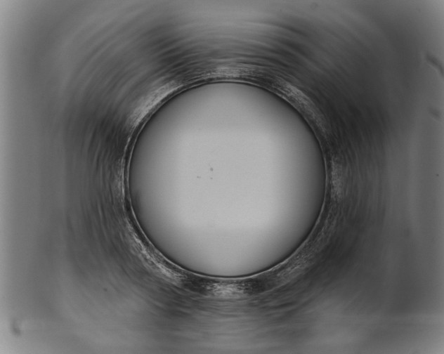 X0000101200794200807111008