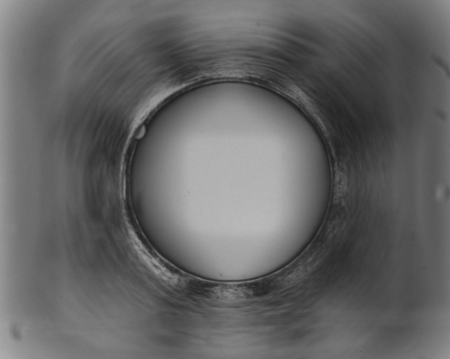 X0000101200795200807111008