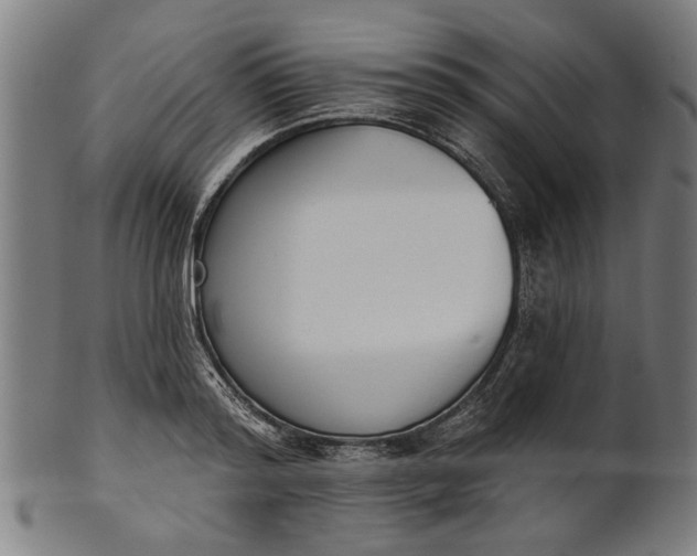 X0000101200796200807111008