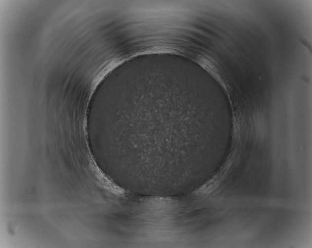 X0000101200797200807111008