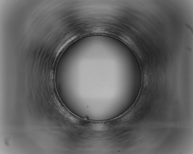 X0000101200798200807111008