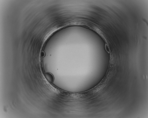X0000101200803200807111008