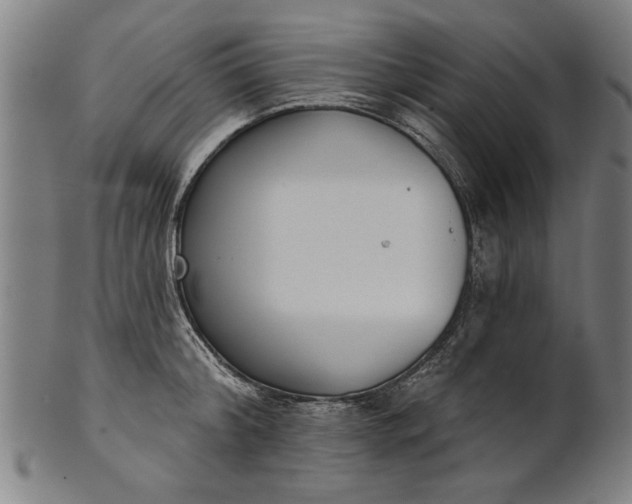 X0000101200804200807111008