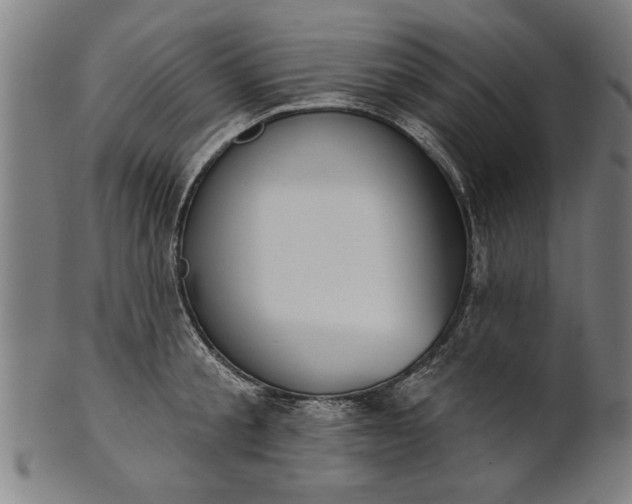 X0000101200805200807111008