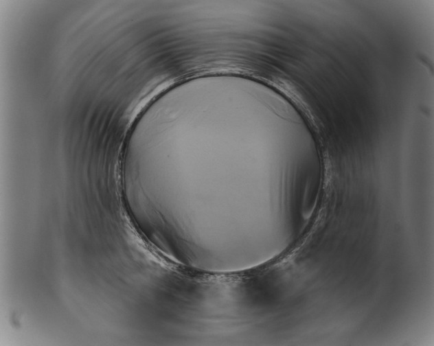 X0000101200806200807111008