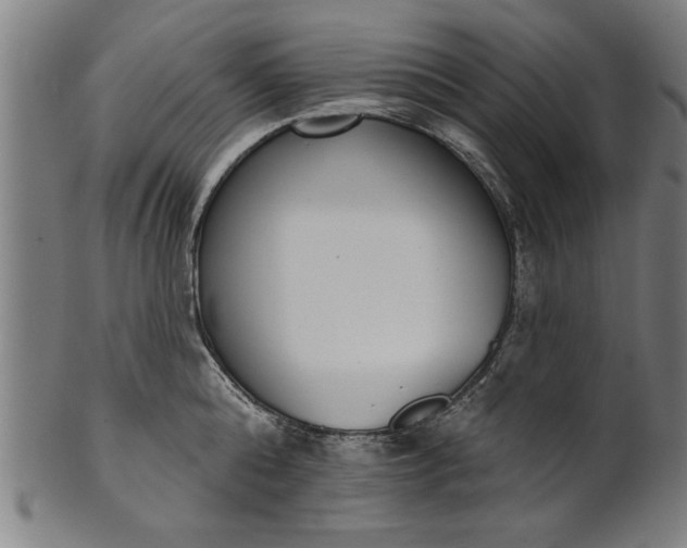 X0000101200808200807111008